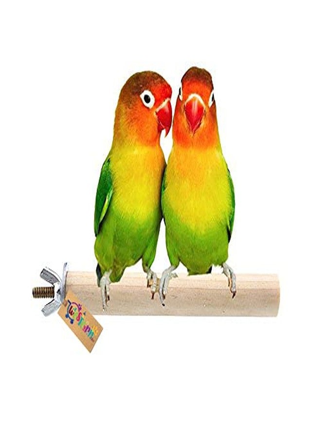 Western Era Perch/Stand Bird Toy for Small & Medium Birds (6 Inches) - Image 1
